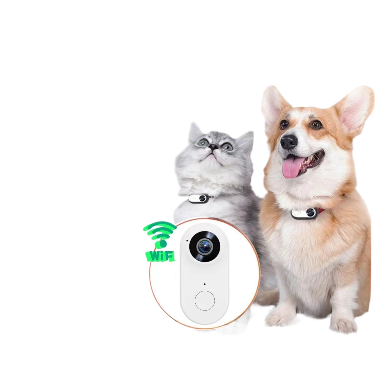 Cat Collar Camera with Direct Video Recording, Memory Options