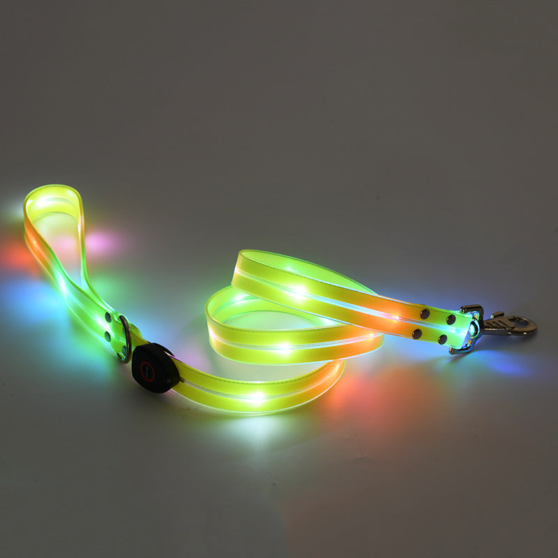 USB rechargeable LED dog collar and lead in Blue Lead, showing size and shape