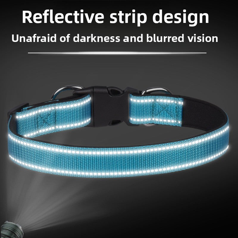 Reflective padded dog collar with locking buckle in Grey, in a home setting