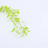 Artificial willow branch with realistic leaves, detail photo 5