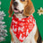 Cartoon print pet bandana for dogs and cats in Design 12, in a home setting