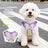 Breathable mesh X-harness with reflective strips, main product photo