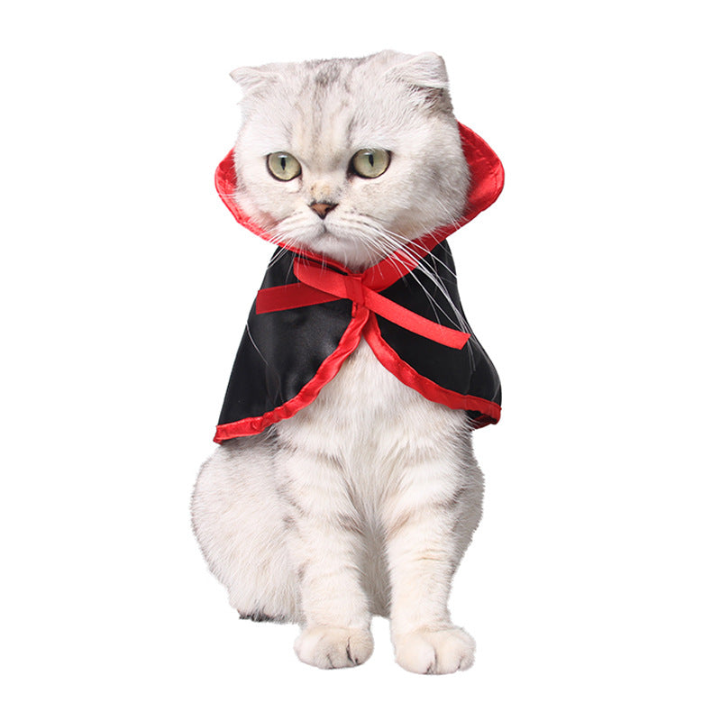 Halloween cape and hat set for cats and small dogs, image 2