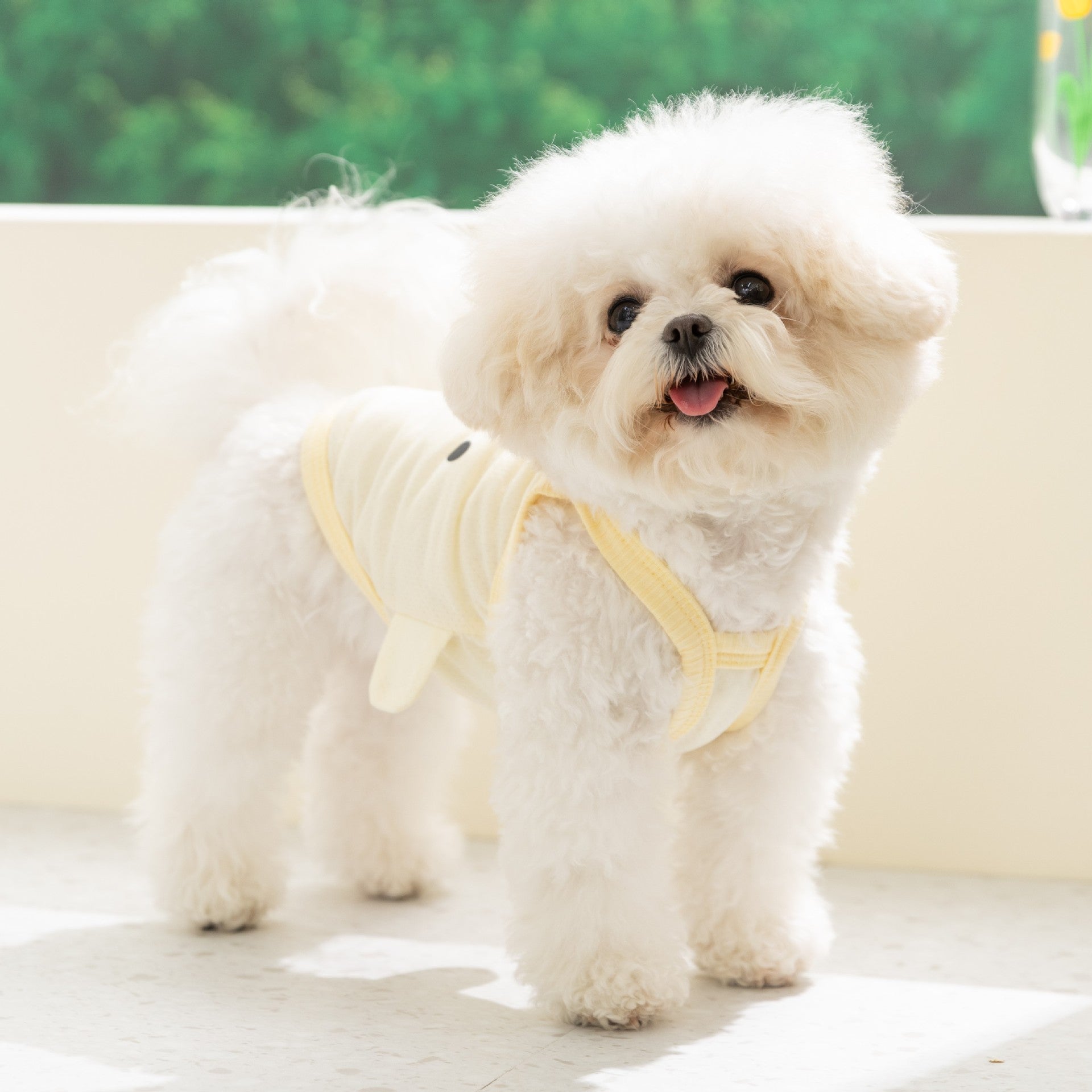 Breathable summer dog vest, available in 11 styles, sizes Extra Small to 2XL, image 3