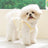 Breathable summer dog vest, available in 11 styles, sizes Extra Small to 2XL, image 3