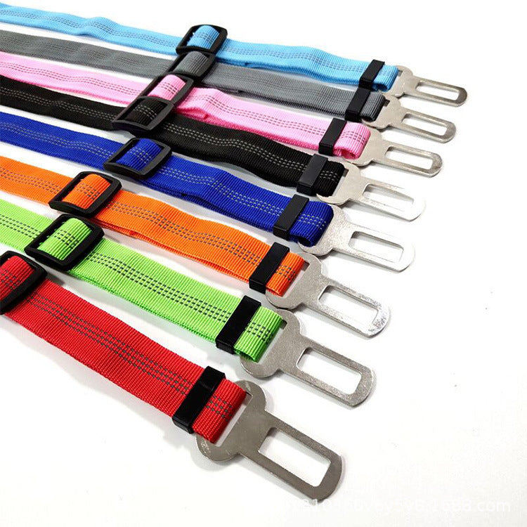 Short elastic dog lead and car seat belt, close-up detail view