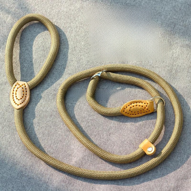 Braided rope dog leads in five colours and lengths