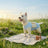 Four leg dog coverall with lead attachment, available in 2 colours, image 56