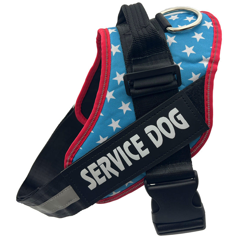 Reflective nylon dog harness with lead in blue, product image 79