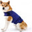 Cotton dog comfort jacket, available in 6 colours, sizes Extra Small to 2XL, image 21