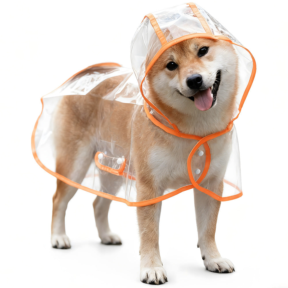 Transparent dog rain poncho with coloured trim, available in 7 colours, image 4