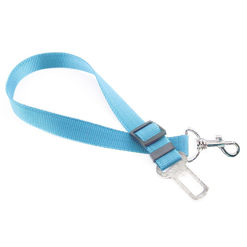 Adjustable dog car seat belt lead, close-up detail view