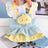 Princess cotton dog dress with matching lead in Light Pink Dress with Lead, top view