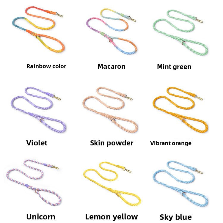 Woven rainbow dog lead with gold coloured clip