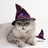 Halloween purple bat cloak for cats and dogs in Purple Cloak, side view