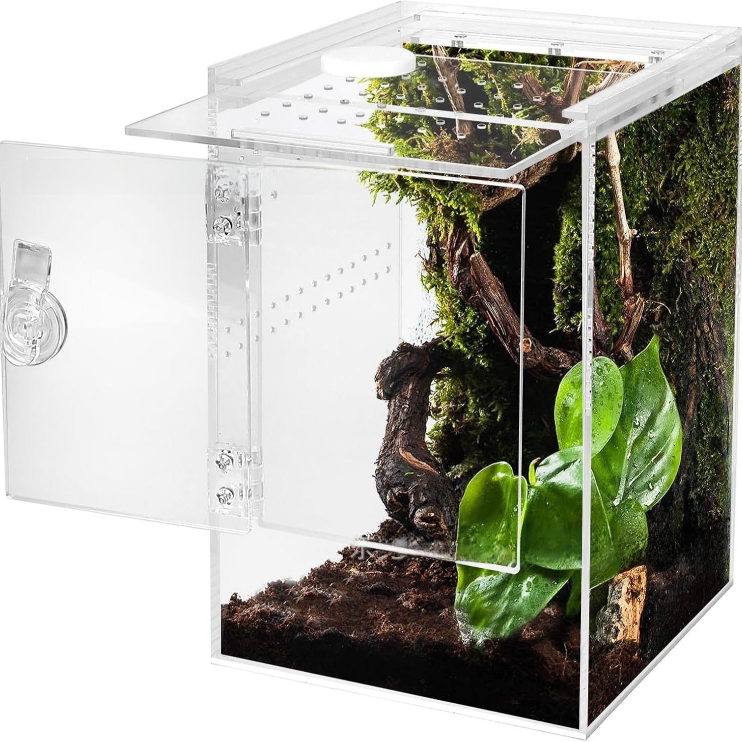 Acrylic jumping spider enclosure with front door, product detail photo