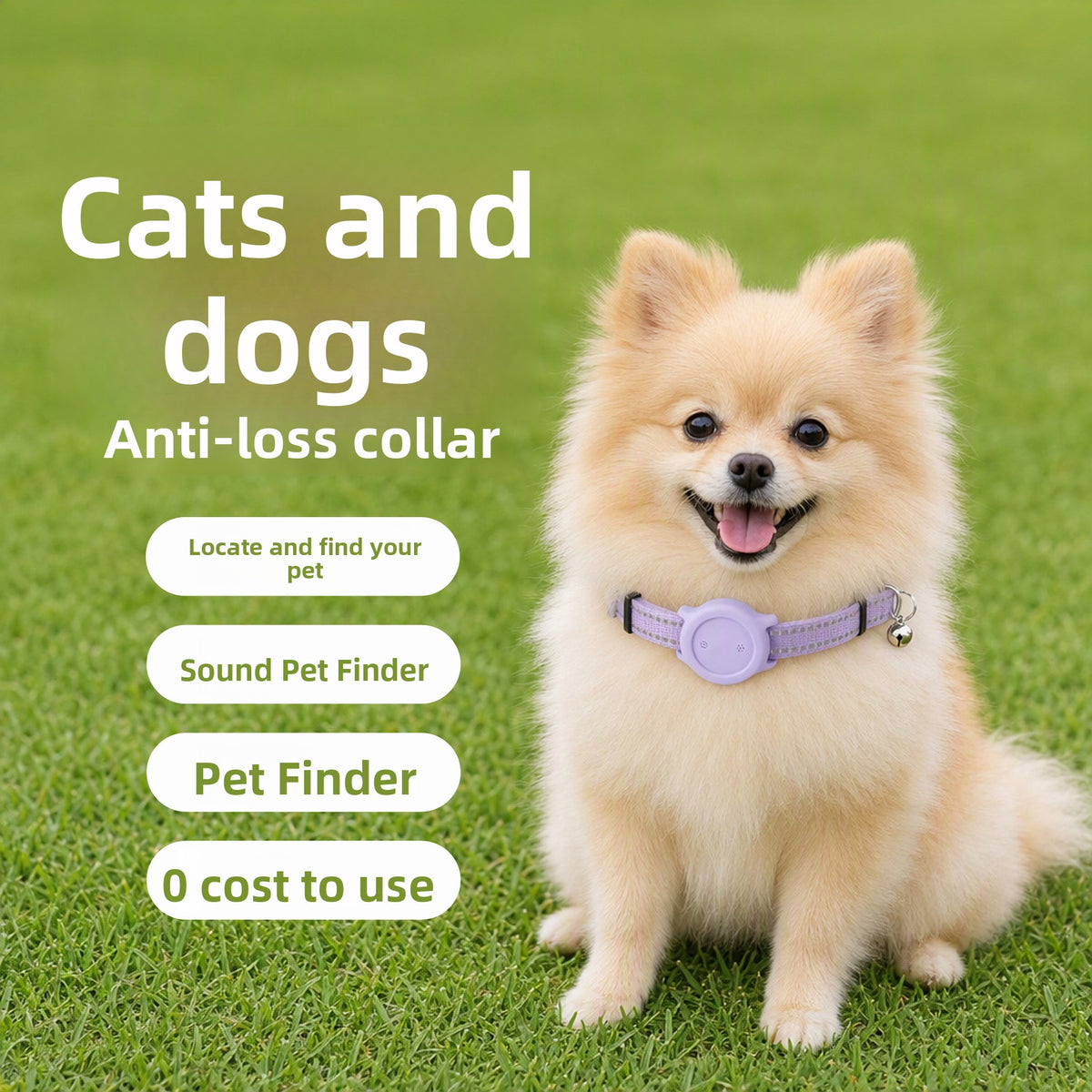 Reflective Bluetooth tracker collar for cats and small dogs in Blue iOS Version, close-up detail