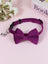 Striped cat collar with velvet bow, available from Pet Royale UK