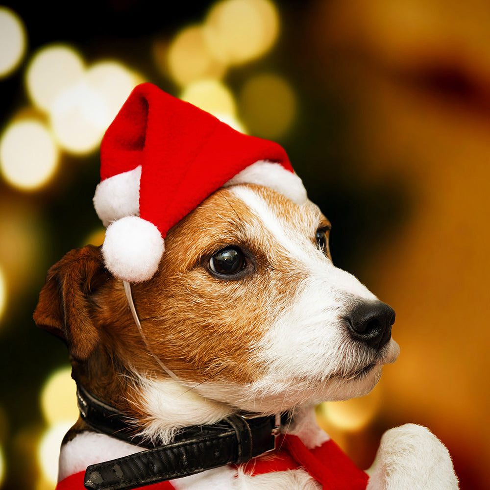 Plush Christmas pet hats in red, plaid and stripes
