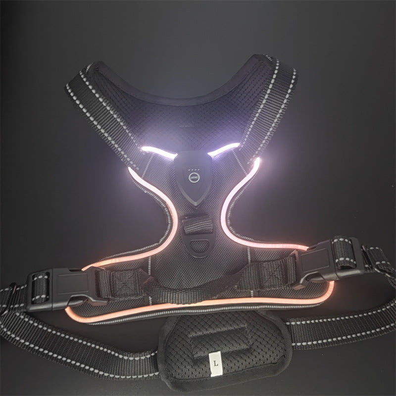 Type C rechargeable LED fibre optic dog harness glowing red