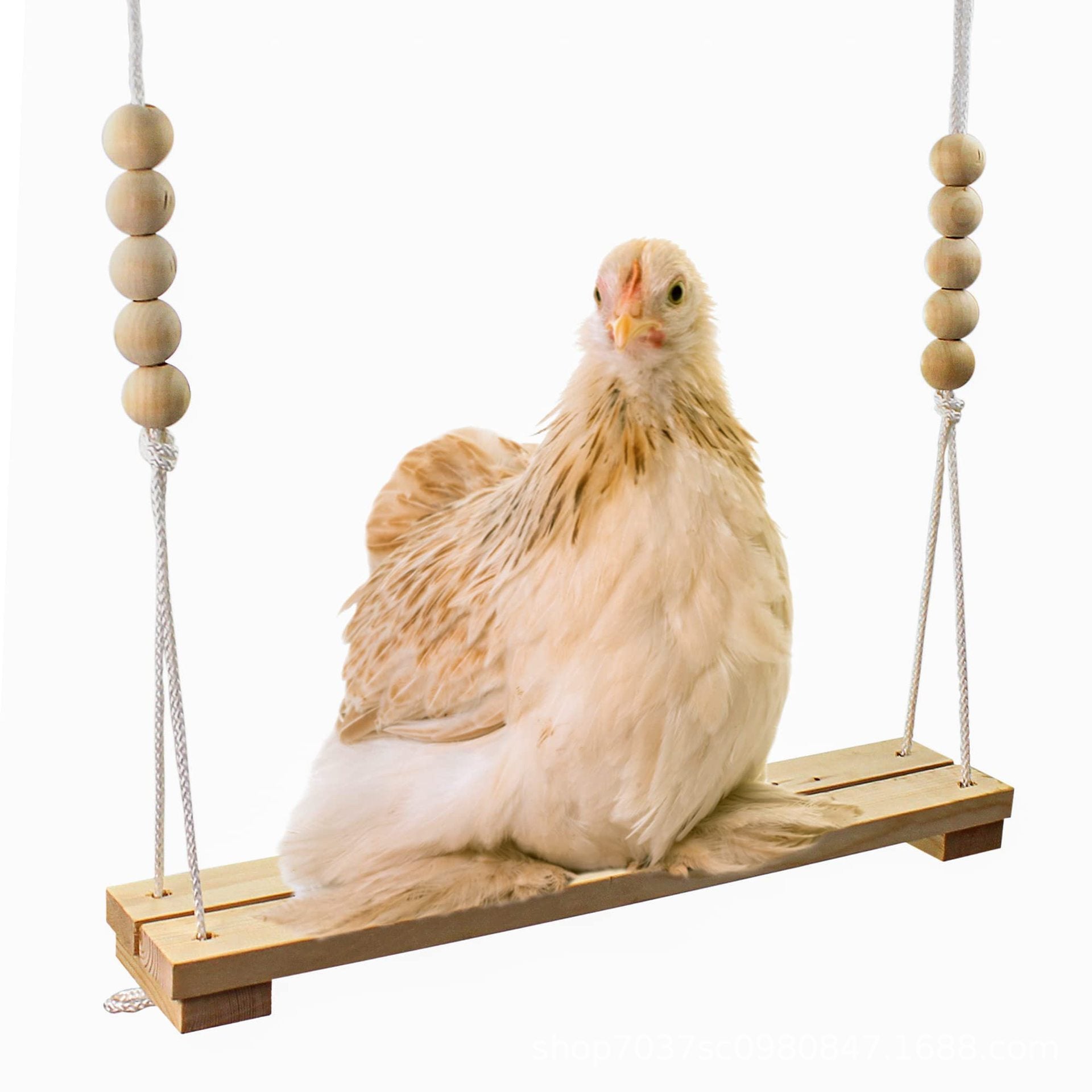 Natural wood bird and chicken swing and perch in 120cm Bridge 30cm, Silver Hook