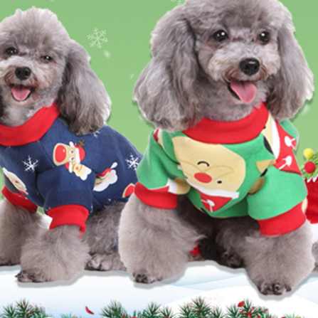 Dog dressed in a Christmas elk costume for festive photos