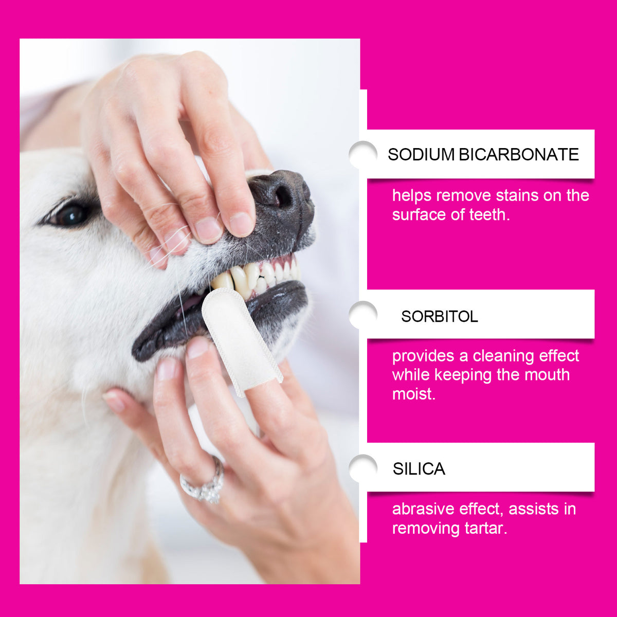 Pet Finger Toothbrush Set for Dogs and Cats, Disposable