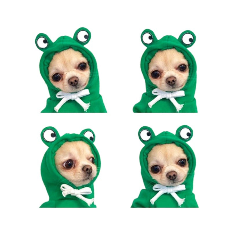 Small dog in a green frog fleece hooded jumper