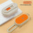 Spray Massage Comb with Steam, Fine Mist Detangler for Dogs and Cats
