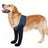 Pet joint protector