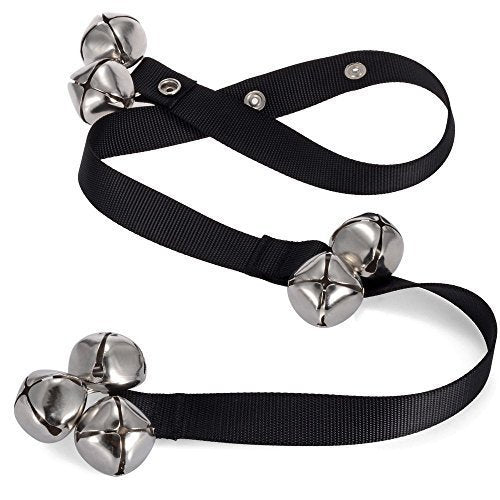 Puppy nudging stainless steel bells hanging on a door