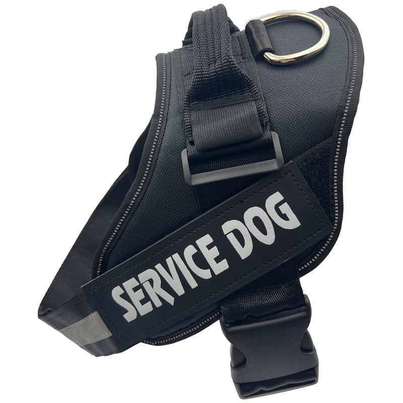 Reflective nylon dog harness with lead in blue, product image 45