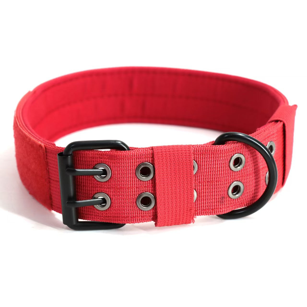 Heavy-duty nylon collar for large dogs, ideal for everyday use