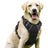 Adjustable dog harness and lead set shown in ten colours