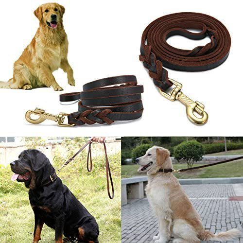 Heavy-duty dog lead, close-up detail view from Pet Royale UK