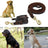 Heavy-duty dog lead, close-up detail view from Pet Royale UK