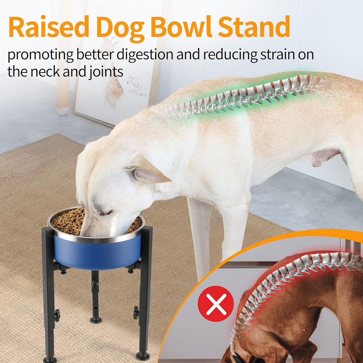 Adjustable Elevated Dog Bowl Stand with Single or Double Basin for Medium Dogs
