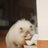 ceramic pet bowl