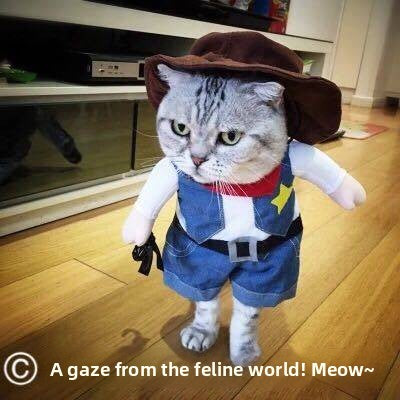 Cowboy denim look hooded jumpsuit for dogs and cats, in Denim Cowboy, image 1