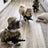 Cartoon soldier dog costume set with hat and matching accessories