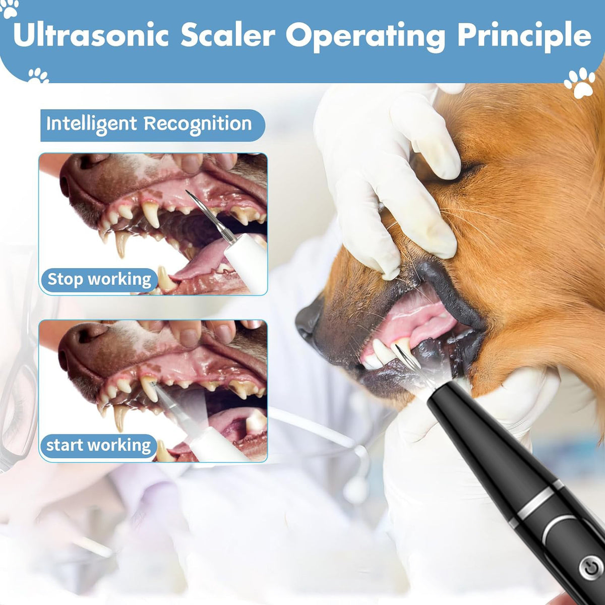 Ultrasonic Pet Tooth Cleaner for Dogs and Cats, USB Rechargeable Home Dental Care Kit
