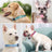Printed dog collar with star pattern and matching lead