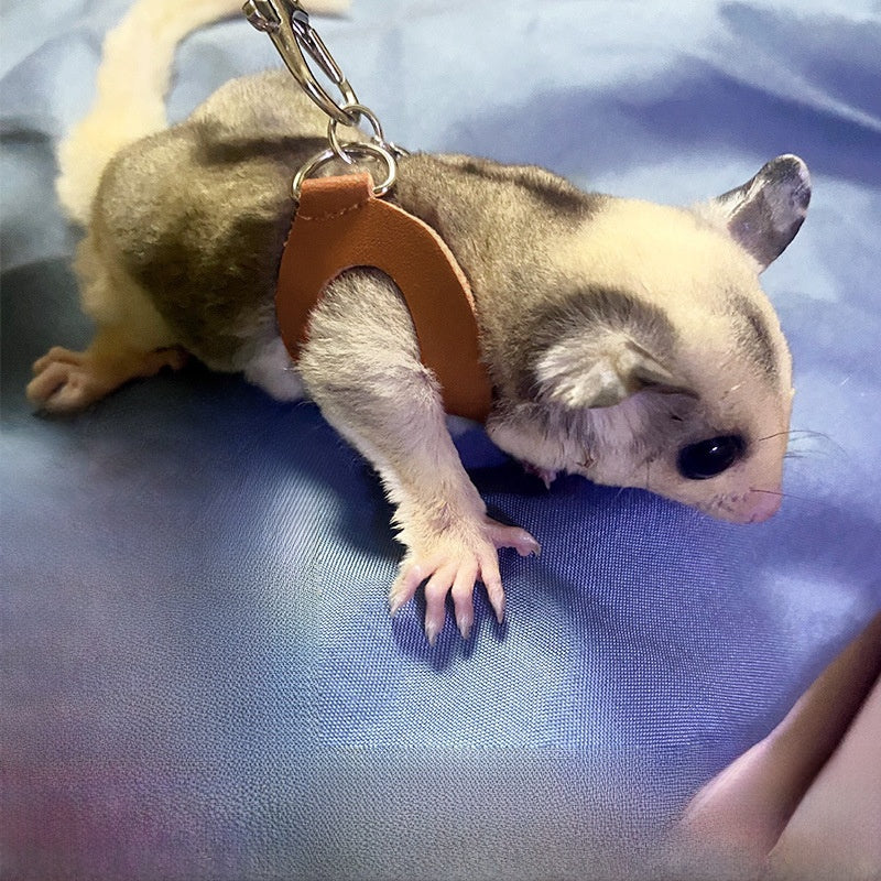 Escape-resistant faux leather lead for sugar gliders and hamsters, product image 1