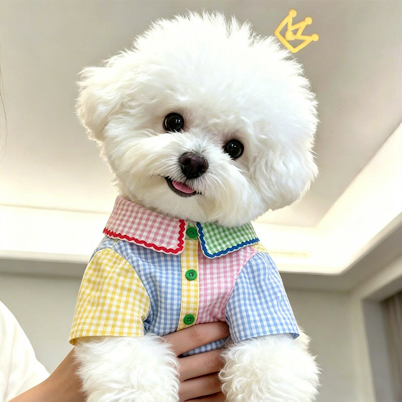 Colour block cotton dog shirt in bright summer colours, product image 2