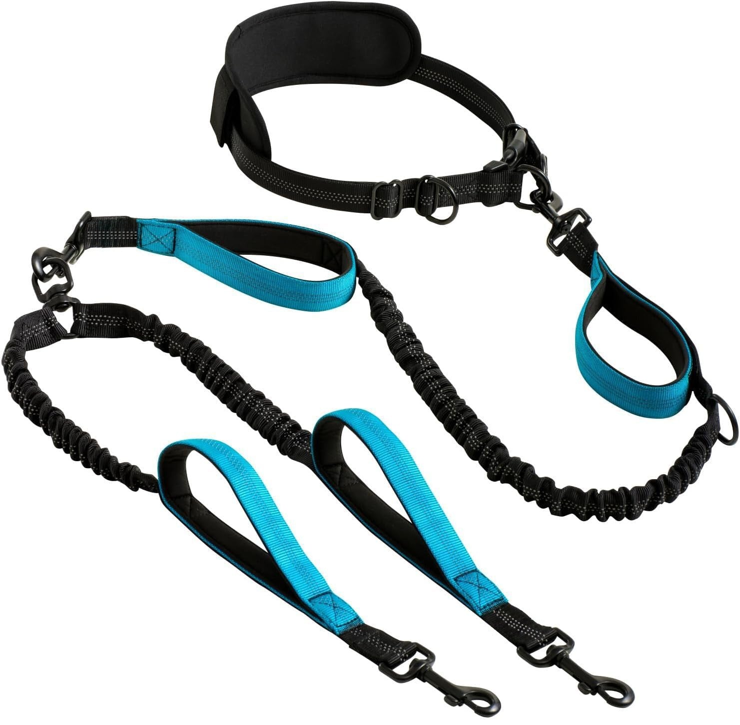 Hands-free double dog lead with bungee buffer in 10 colour options