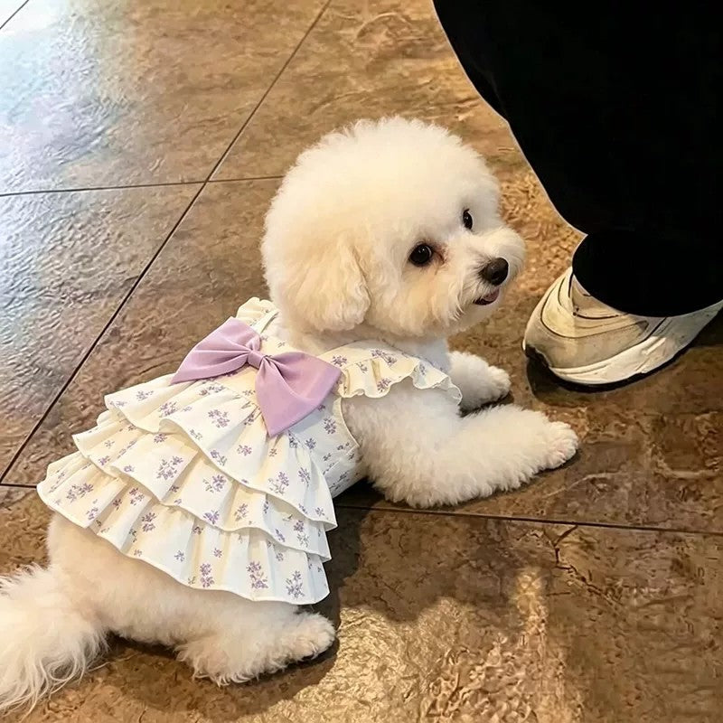 Floral strap summer dress for small dogs, available in 2 colours, image 4