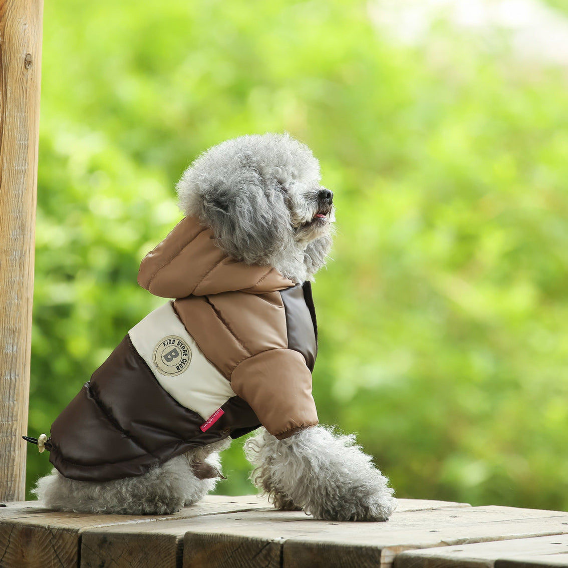 Thick cotton padded dog coats in six colours
