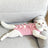 Cat Sterilization Recovery Suit Post Surgery Protective Garment