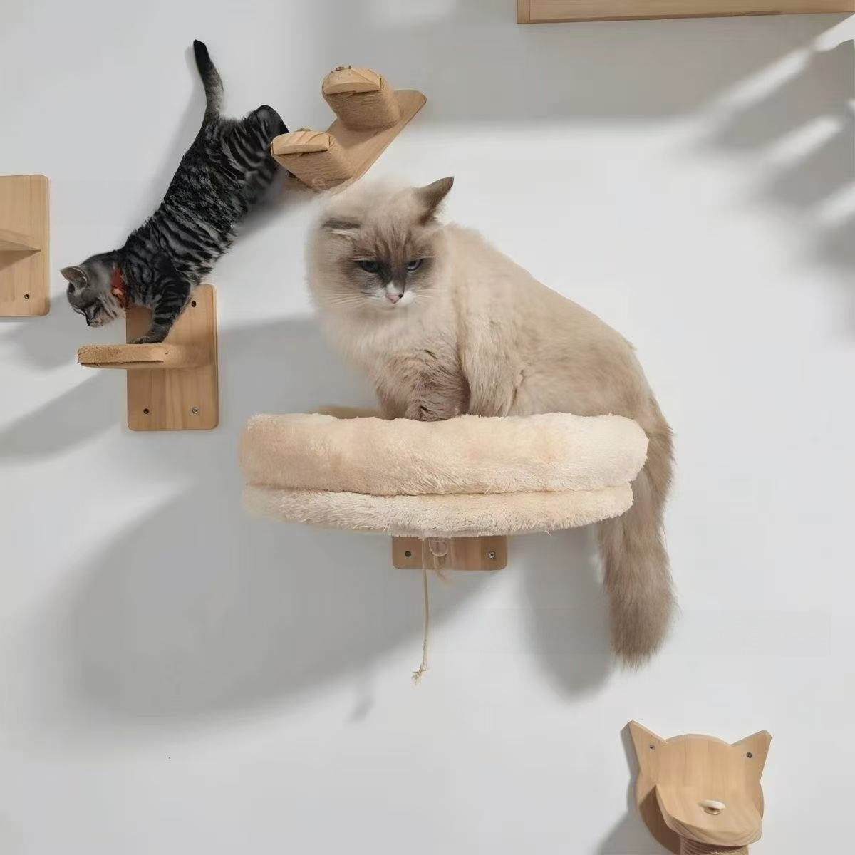 Wall-mounted pine wood cat house with jumping platform