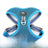 Mesh reflective dog harness, available from Pet Royale UK
